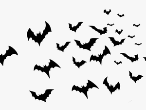 Transparent Halloween Bats Png - Halloween Bats Png