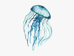 Jelly Tentacles Png - Transparent Background Jellyfish Png
