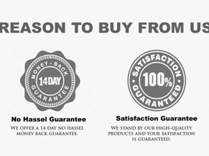 Satisfaction Guaranteed Png -worldwide Shipping - Fast Shipping Transparent Trust Badge