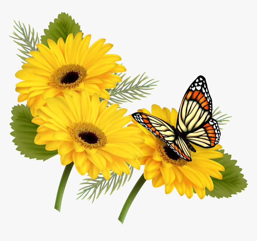 Yellow Gerberas With Butterfly Png Clipart - Butterfly On Flowers Png