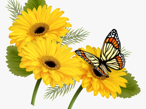 Yellow Gerberas With Butterfly Png Clipart - Butterfly On Flowers Png