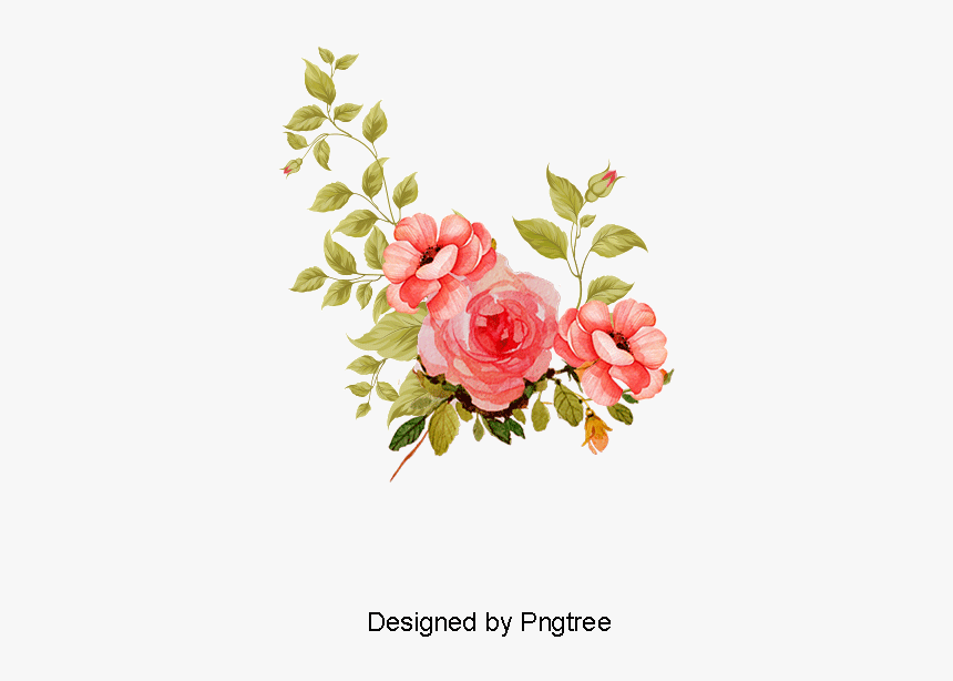 Free Flower Vector Png - Transpa