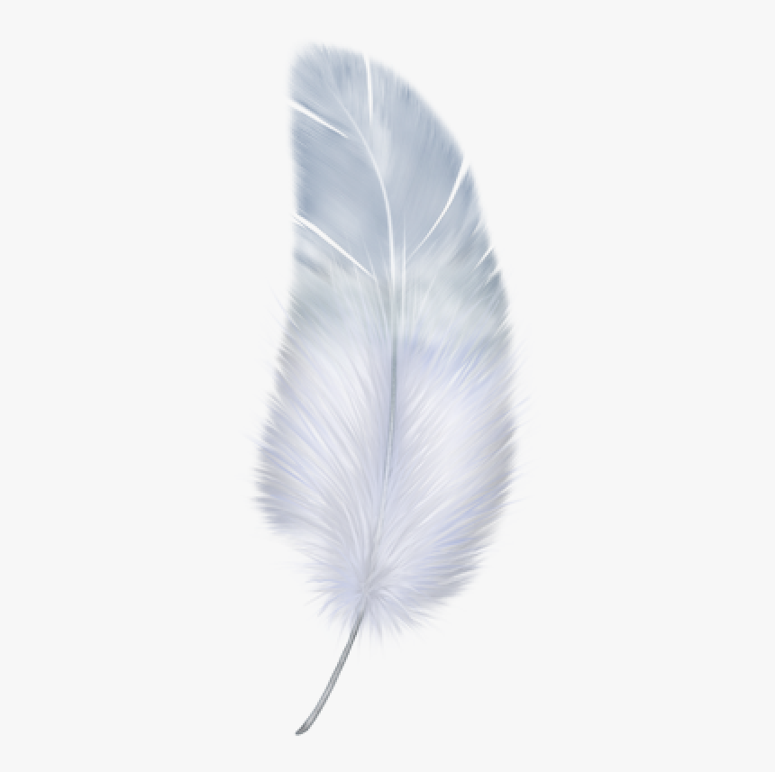 Birdy Feather Png Download - Fre