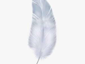 Birdy Feather Png Download - Free Feather Transparent Background