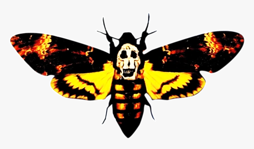Transparent Moth Silence The Lamb - Silence Of The Lambs Png
