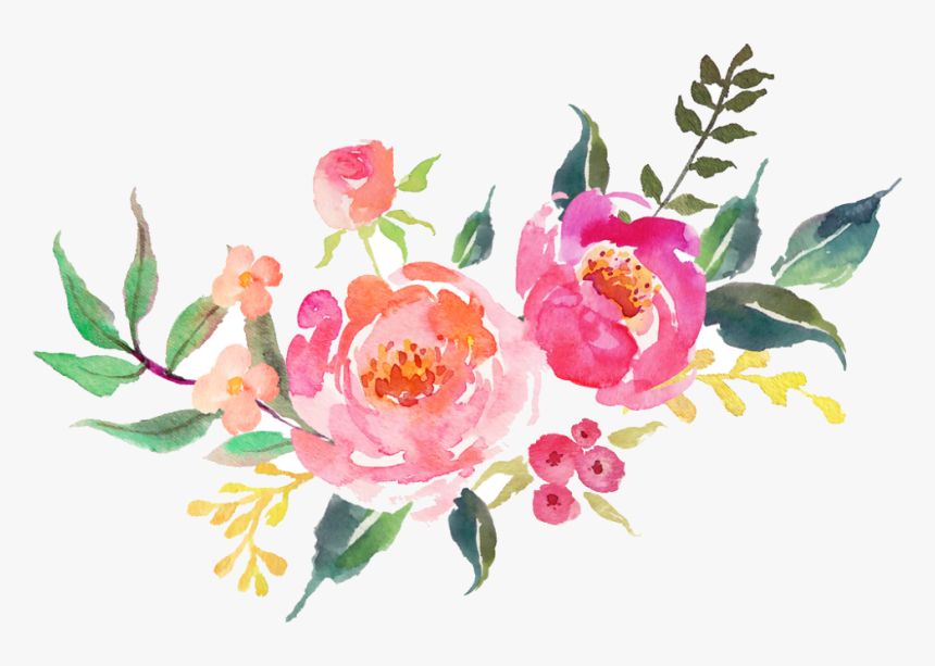 Transparent Background Watercolor Flowers