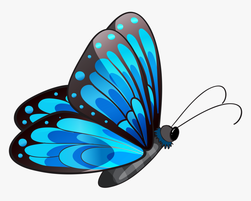Butterfly Clip Art - Flying Butt
