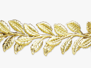 #crown #gold #golden #leaf #head - Gold Leaf Crown Png