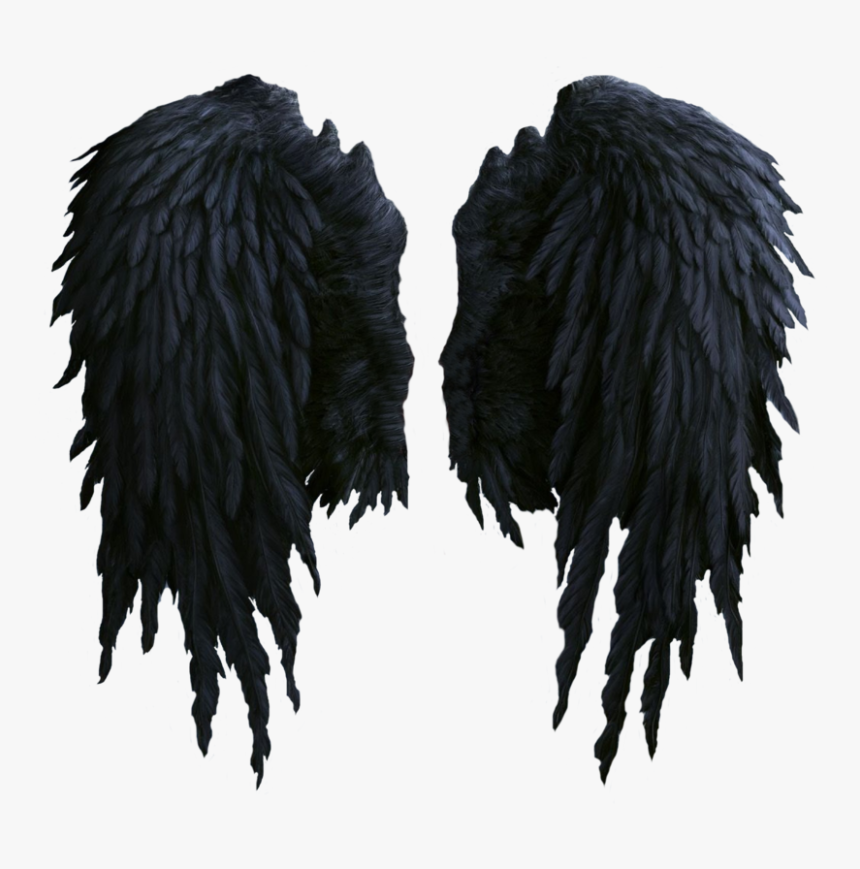 Black Wings Png Image - Realisti