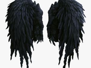 Black Wings Png Image - Realistic Black Angel Wings Png