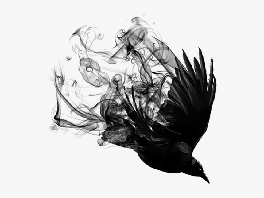 #bird#crow#black#smoke - Raven H