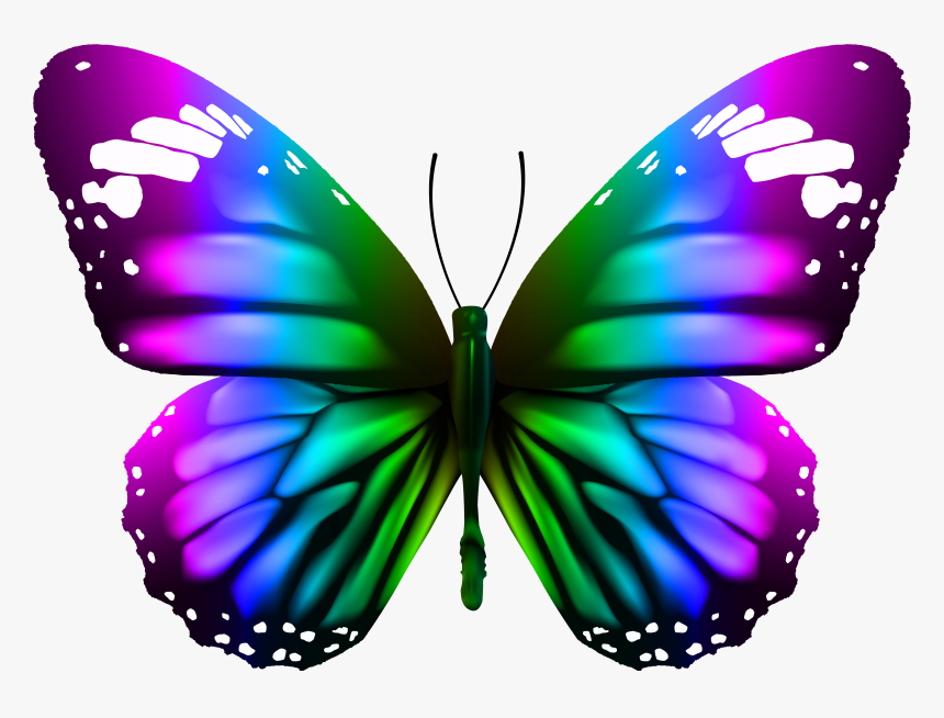 Download Butterfly Transparent C