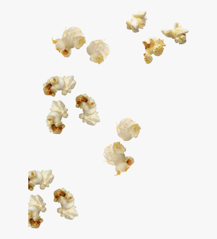 Bnr-inner - Popcorn Png