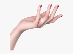 Woman Hand Png Clip Art Image - Female Hand Hands Png