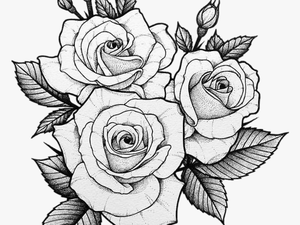 #tumblr #tatto #roses - Drawing Two Roses Tattoo
