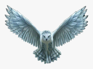 Transparent Hedwig Png - Transparent Harry Potter Owl Flying