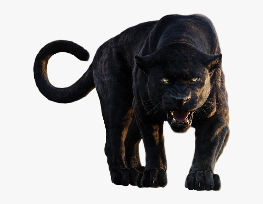 Panther Png Clipart - Jungle Boo