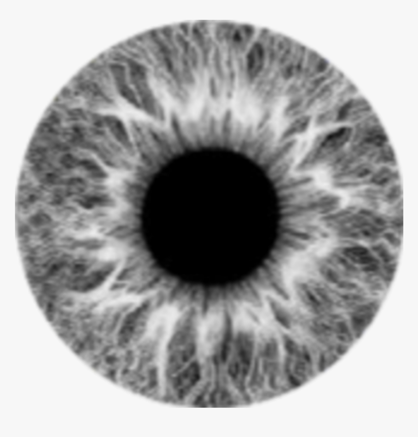 #grey #lens #eye #eyes #moon #gr