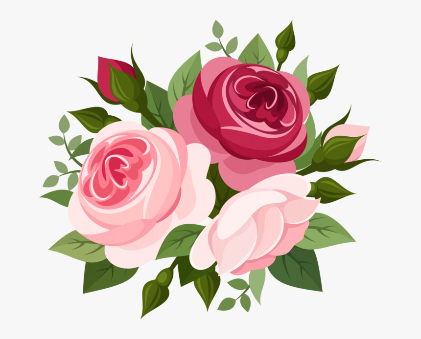 Pink Roses Png Elegant Rose Vect