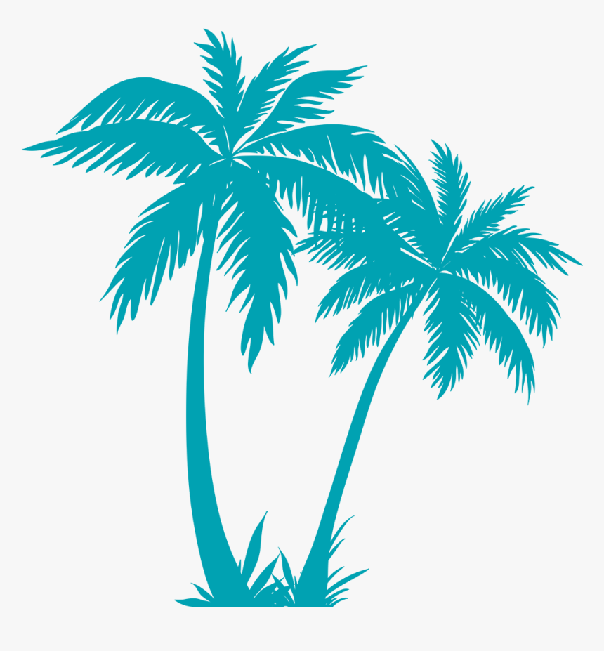 Transparent Palm Tree Plan Png - Palm Tree Vector Png