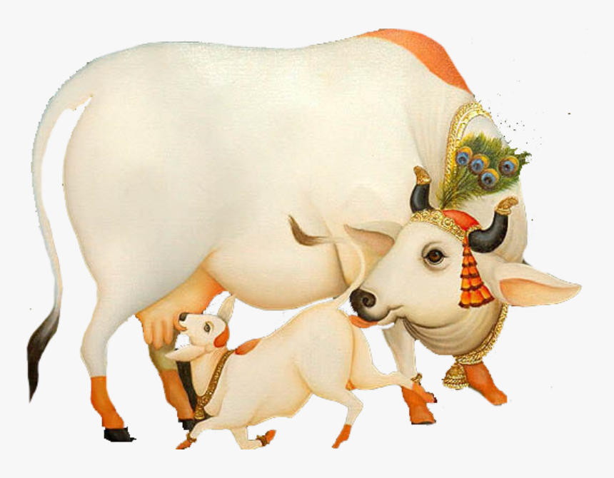 ऐसी है मेरी भगवती गौ माता - Cow With Krishna Png
