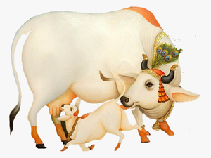 ऐसी है मेरी भगवती गौ माता - Cow With Krishna Png