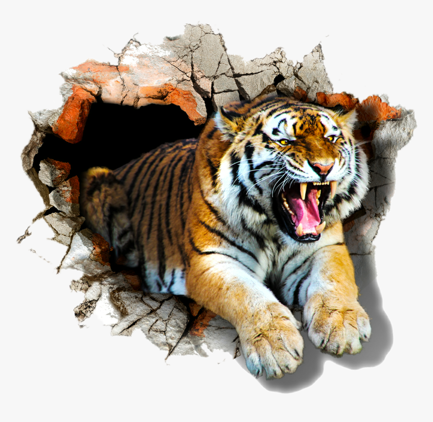 #tiger#roar - Transparent Tiger 