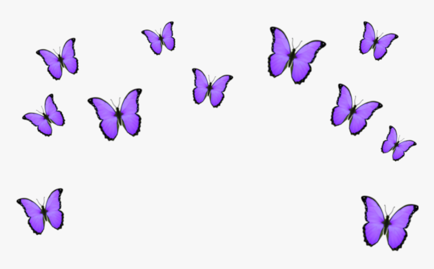 Transparent Purple Crown Png - Transparent Blue Butterfly Emoji