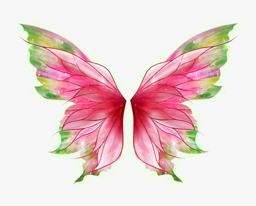 #butterfly #wings #butterflywing
