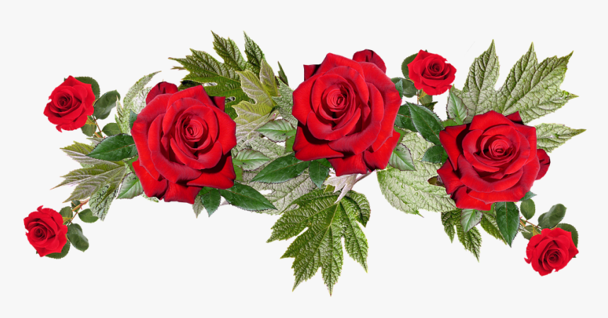 Red Flowers Png Image With Transparent Background - Transparent Background Red Flowers Png