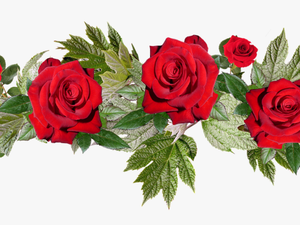 Red Flowers Png Image With Transparent Background - Transparent Background Red Flowers Png