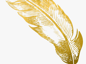 #gold #feather #feathers #native #boho #pretty #decals - Golden Feather Transparent