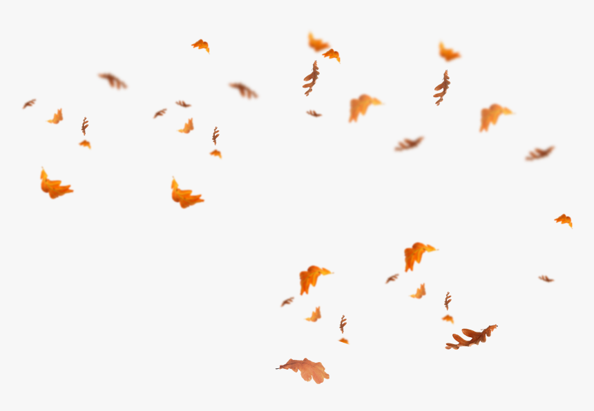 Falling Leaves Png - Transparent Fall Leaves Overlay
