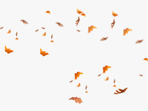Falling Leaves Png - Transparent Fall Leaves Overlay