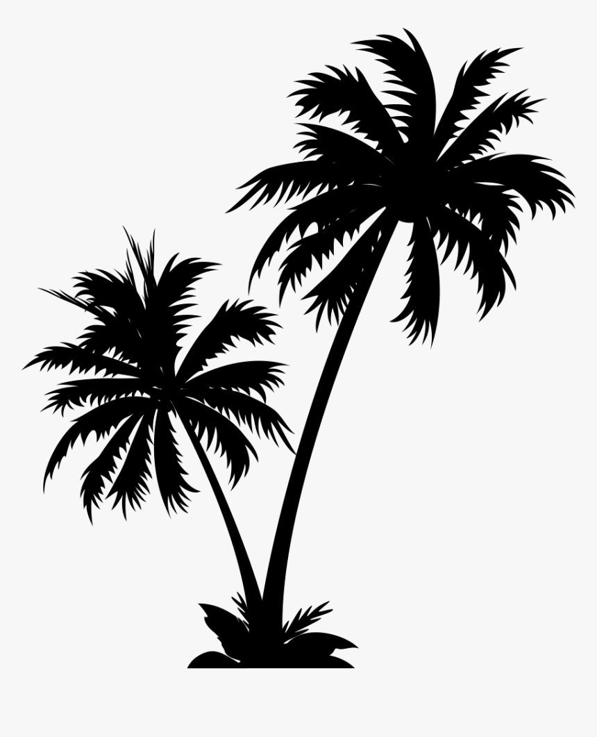 Transparent Coconut Tree Vector 