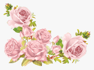 Aesthetic Flowers Transparent Background