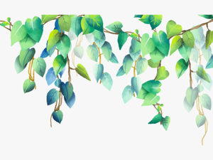 #green #plant #plants #png #pngstickers - Border Watercolor Leaves Png
