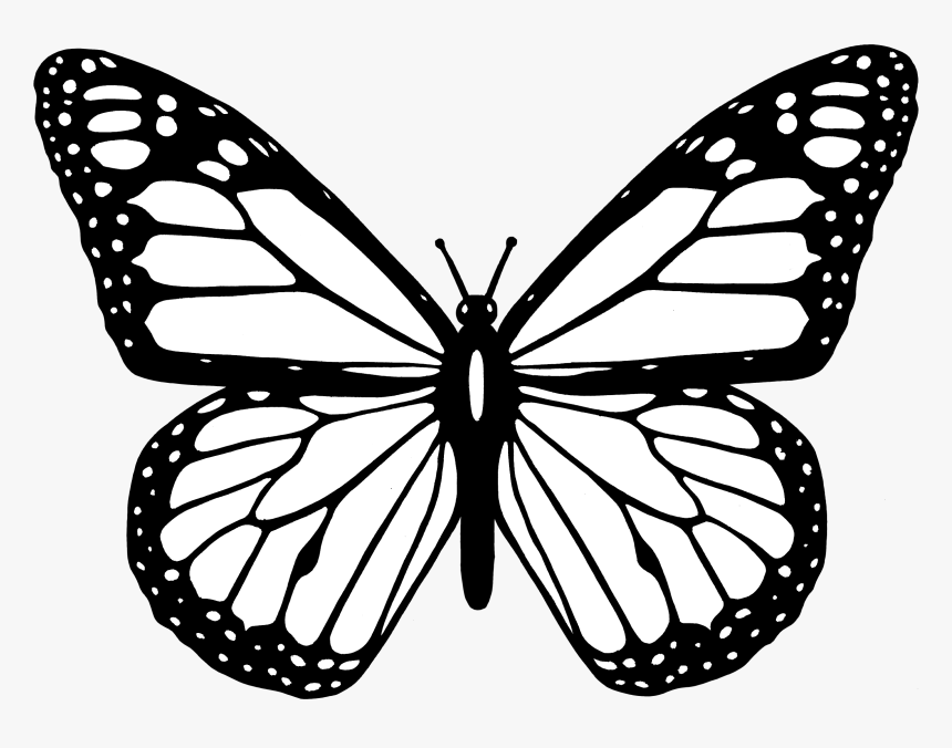 Butterfly Black And White Clipart Butterfly Png - Monarch Butterfly Coloring Pages