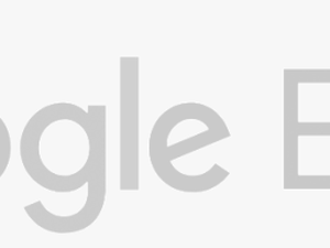White Google Earth Logo