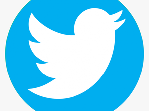 Transparent Twitter Logo Png
