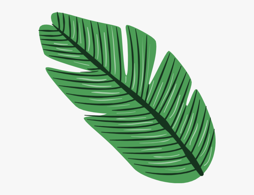 Tropical Leaves Png Vector