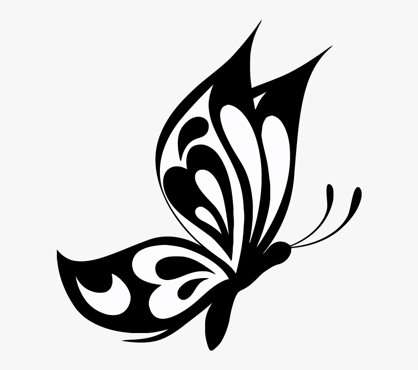 Elegant Butterfly Vector Images 