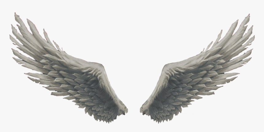 Angel Wings God Sticker - Feather Png For Editing
