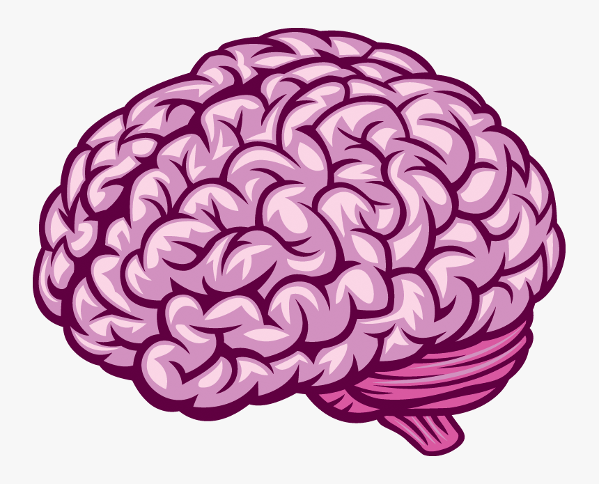 Transparent Human Brain Png - Royalty Free Brain Vector