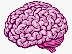Transparent Human Brain Png - Royalty Free Brain Vector