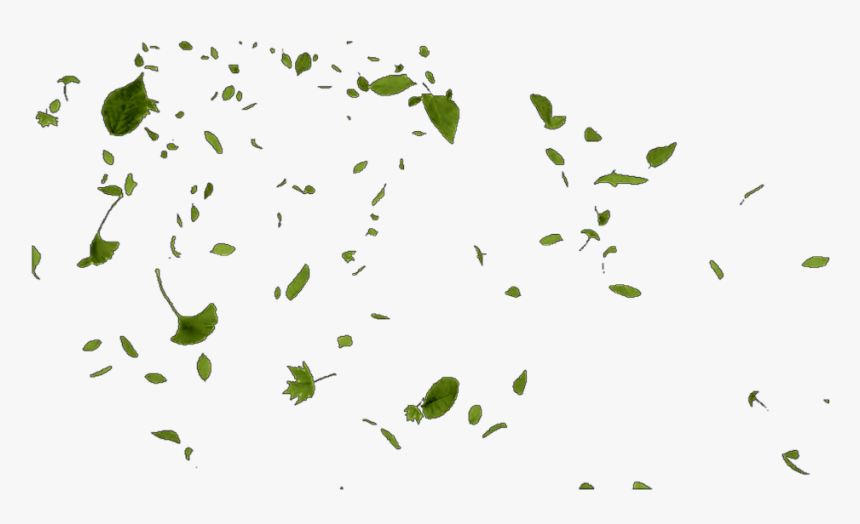 #leaves #leaf #wind #windy #blow #blew #float #drift - Green Leaves Blowing In The Wind Png