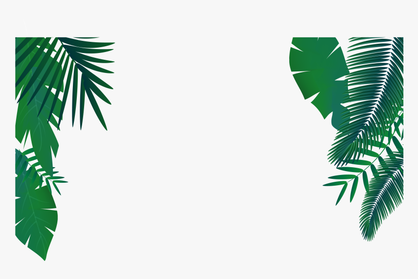 Palm Png Vector - Palm Leaves Ve