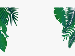 Palm Png Vector - Palm Leaves Vector Png