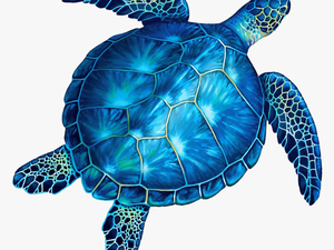 Turtle No Background - Blue And Green Sea Turtles