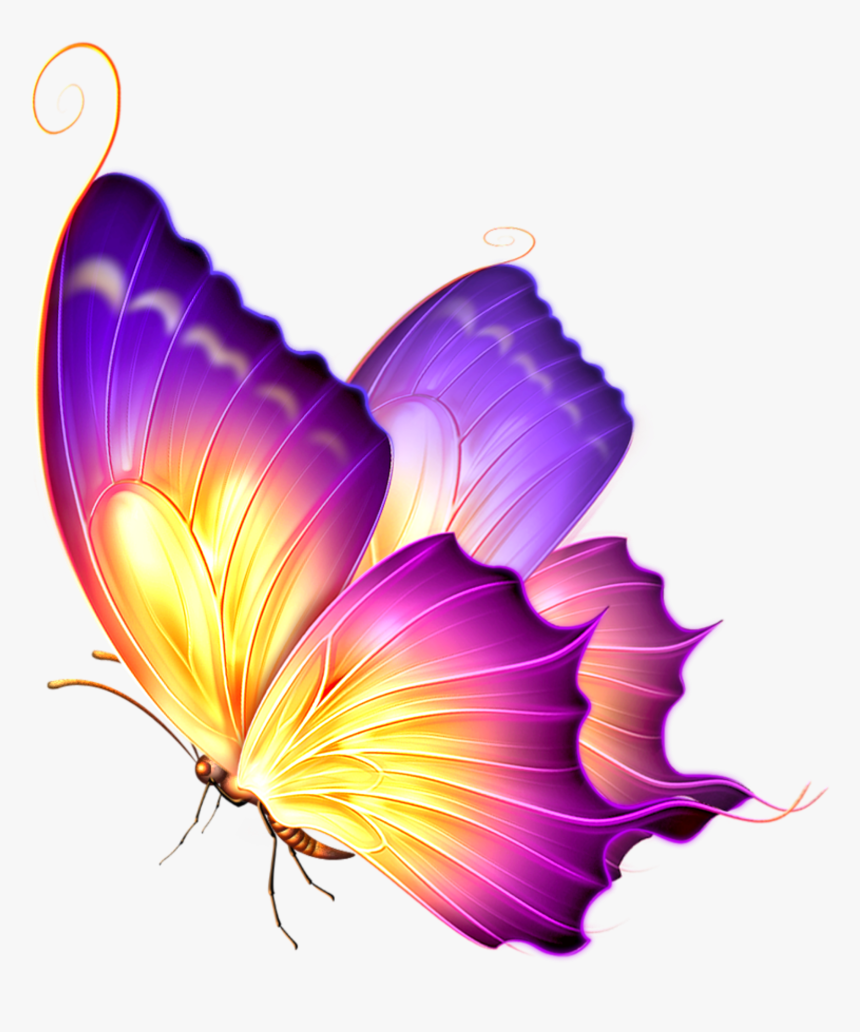 #ftestickers #butterfly #glow #pink #purple - Purple And Gold Butterfly